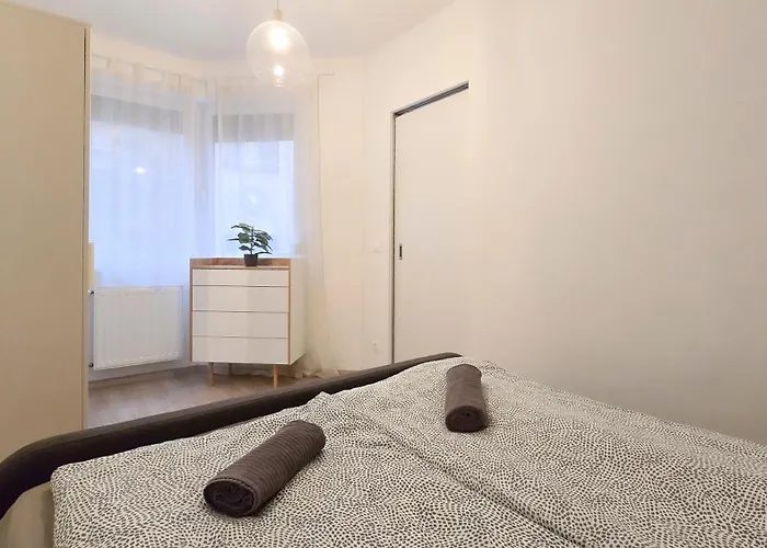 Comfort Zone * 부다페스트